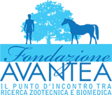 Fondazione Avantea